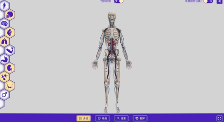 人体三维解剖虚拟仿真系统.png
